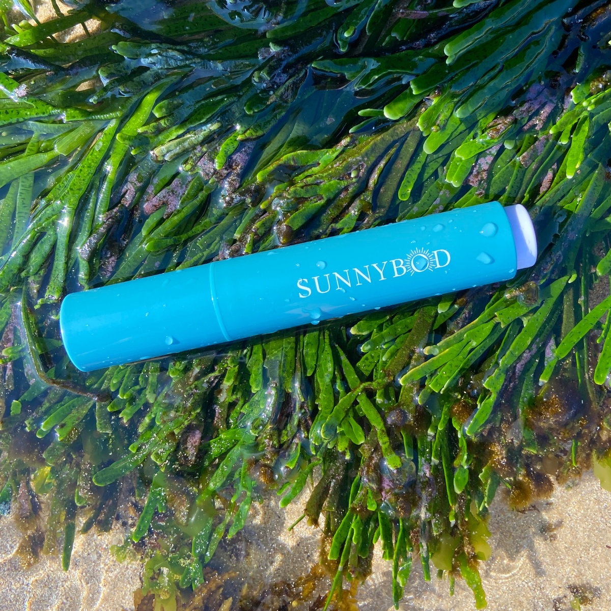 The Best Refillable Sunscreen Brush 2024, the SUNNYBOD Refillable Sunscreen Brush. The brush is lying on bright green sea weed. 